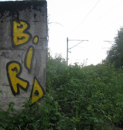 BIRD graffiti zürich