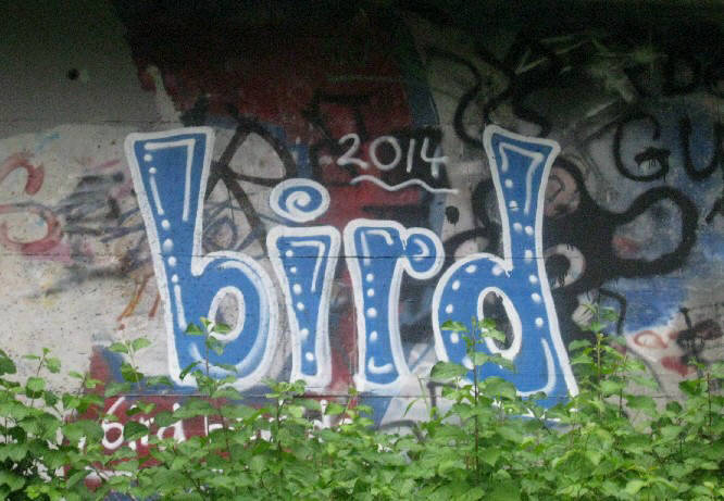 BIRD graffiti zurich switzerland BIRD GRAFFITI ZRICH SCHWEIZ