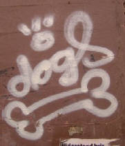 DOGS graffiti tag Bahnhof Enge SBB Zrich