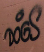 DOGS graffiti tags bahnhof enge zrich sbb