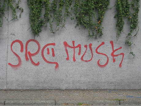 SRC MUSK graffiti tag zürich