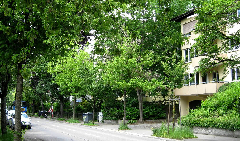 Gladbachstrasse Zürich Fluntern
