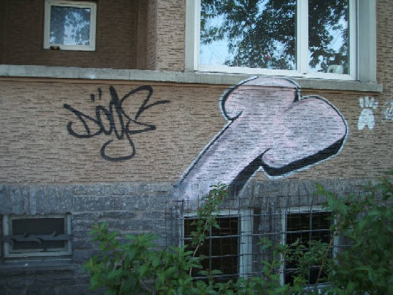 DOGS graffiti hohlstrasse zürich-aussersihl