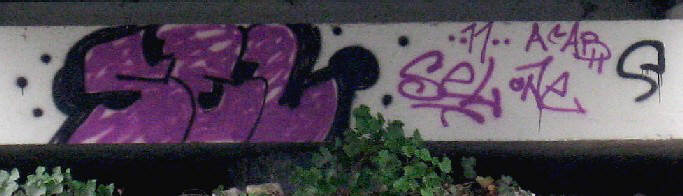 SEL graffiti zrich