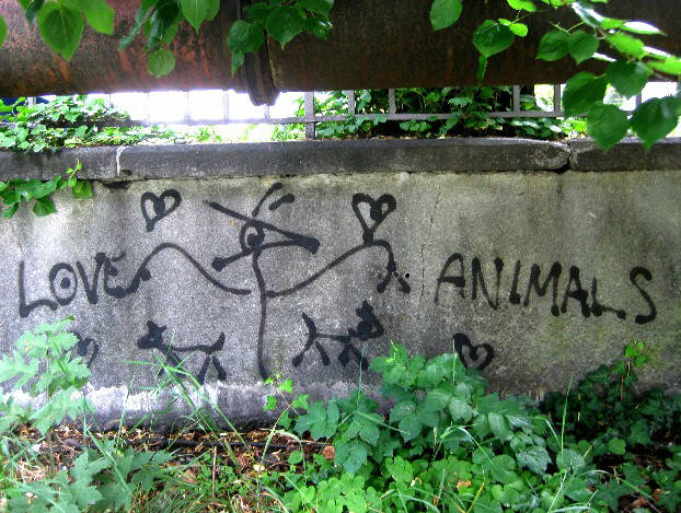 Love animals, dont kill them. BIRD graffiti zurich 2011