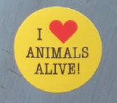 I love animals alive