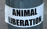 ANIMAL LIBERATION   