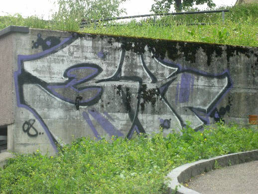 3R Graffiti Witikonerstrasse Zürich-Hirslanden Stadtkreis 7 Schweiz