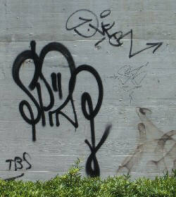 SPIN graffiti tag zürich TBS graffiti tag zürich