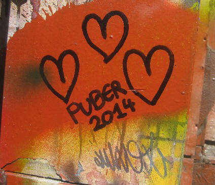LOVE PUBER 2014 graffiti tag zurich switzerland schweiz