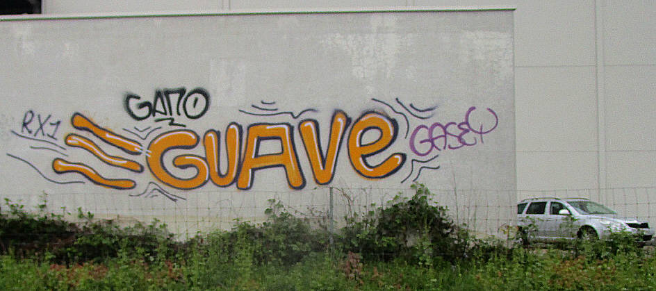 GUAVE graffiti zürich