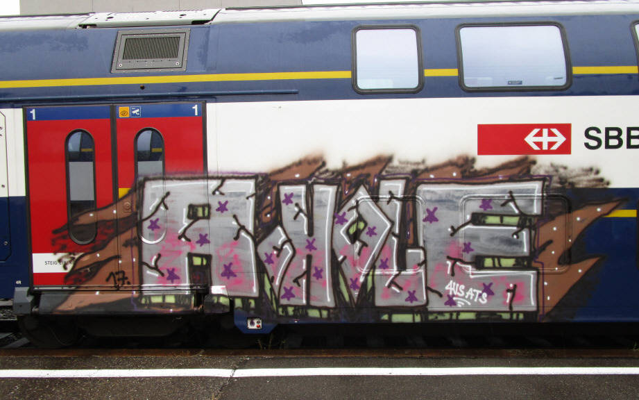 A-HOLE  S-Bahn train graffiti zrich