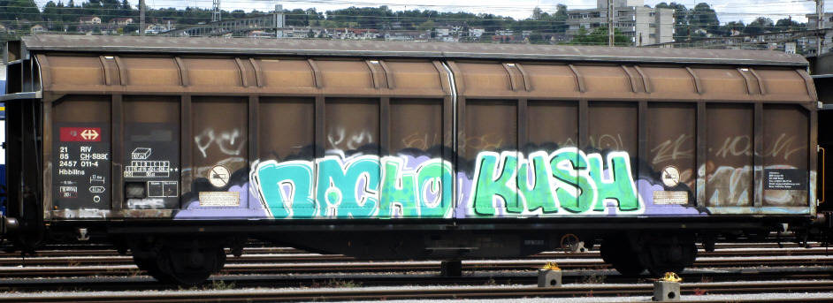 NACHO KUSH SBB-gterwagen graffiti