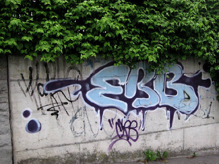 ERB graffiti zürich