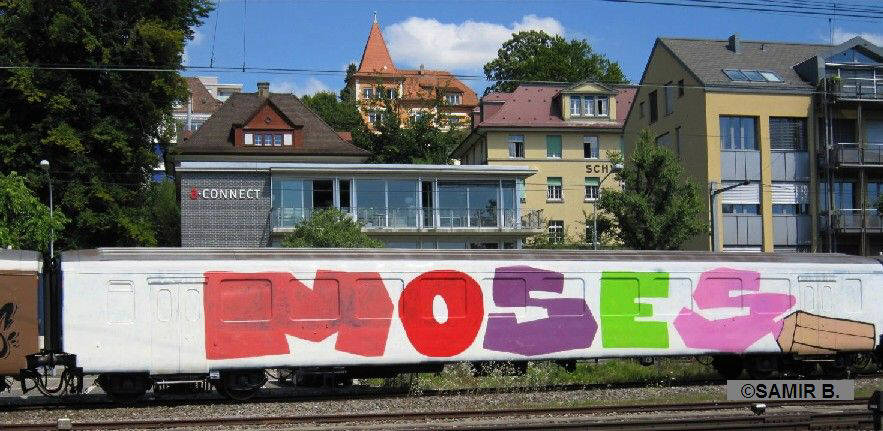 MOSES GRAFFITI whole car graffiti zurich switzerland august 2010. full car train graffiti. SBB full car graffiti zrich