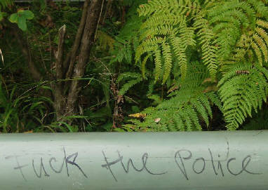 FUCK THE POLICE graffiti tag