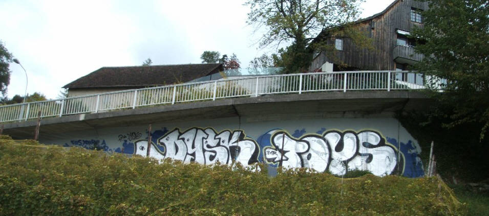DYSK TOYS graffiti herrliberg kanton zrich schweiz