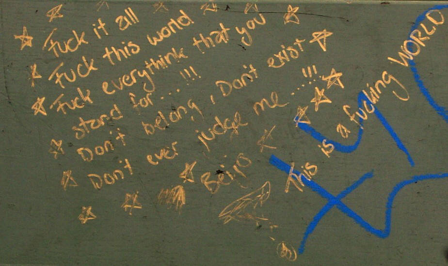fuck it all. fuck this world. fuck everything that you stand for. don't belong, don't exist, don't ever judge me. this is a fucking world. seen in zurich switzerland on a parkbench